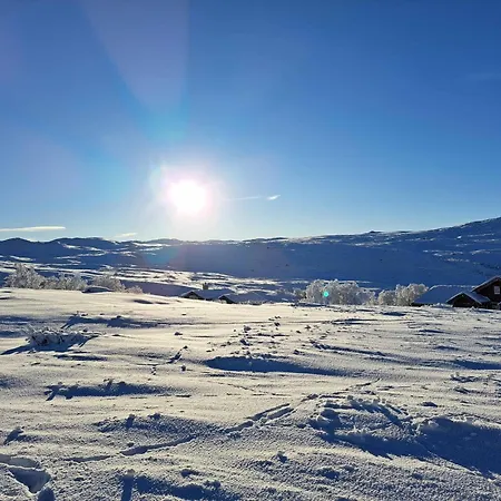 Flott Hytte Med Utsikt Over Filefjell * Tyinkrysset